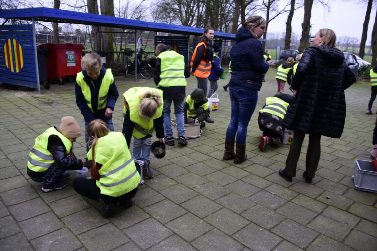 bloemen zaaien 2013